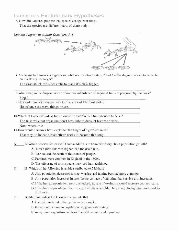 Evidence For Evolution Worksheet New Evidence Evolution Worksheet 