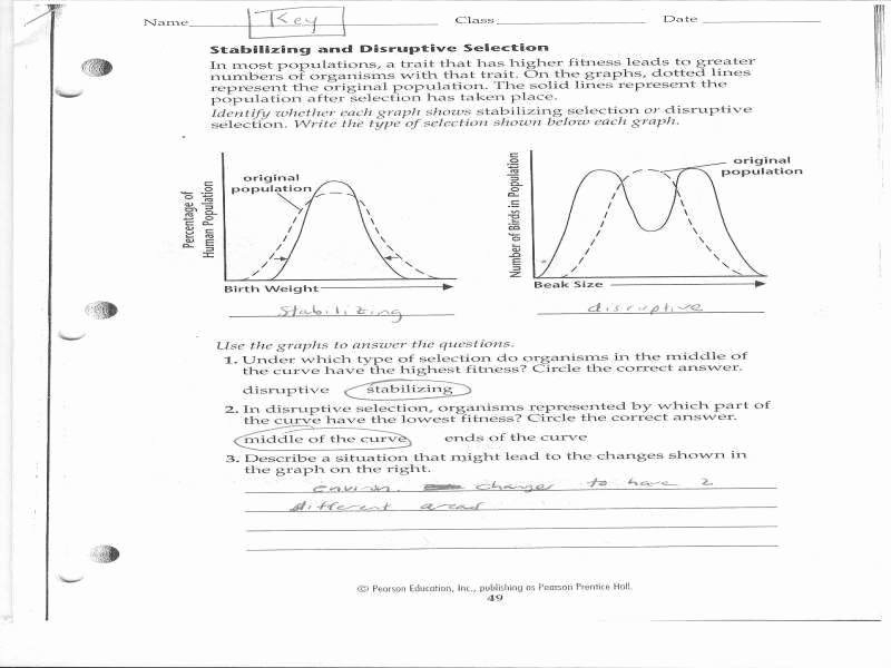 Evidence Of Evolution Worksheet Elegant Evidence Evolution Worksheet 