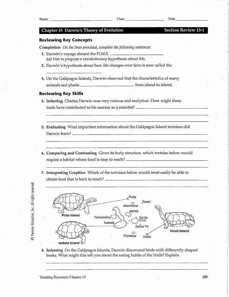 Evidence Of Evolution Worksheet Fresh Evidence Evolution Worksheet
