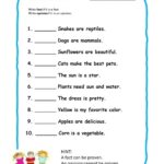 Fact Or Opinion Worksheet For 1st 2nd Grade Lesson Planet