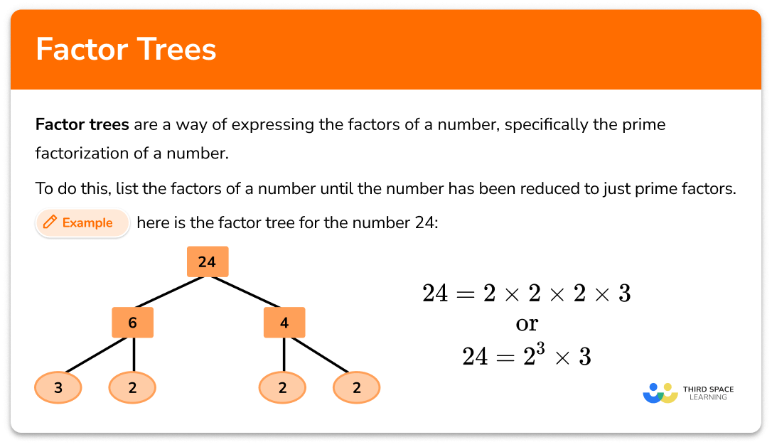 Factor Trees Math Steps Examples Questions Worksheets Library