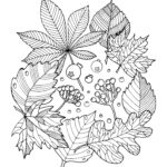 Fall Autumn Leaf Arrangement Coloring Page Printable