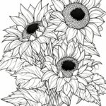 Fall Flowers Coloring Pages Coloring Nation