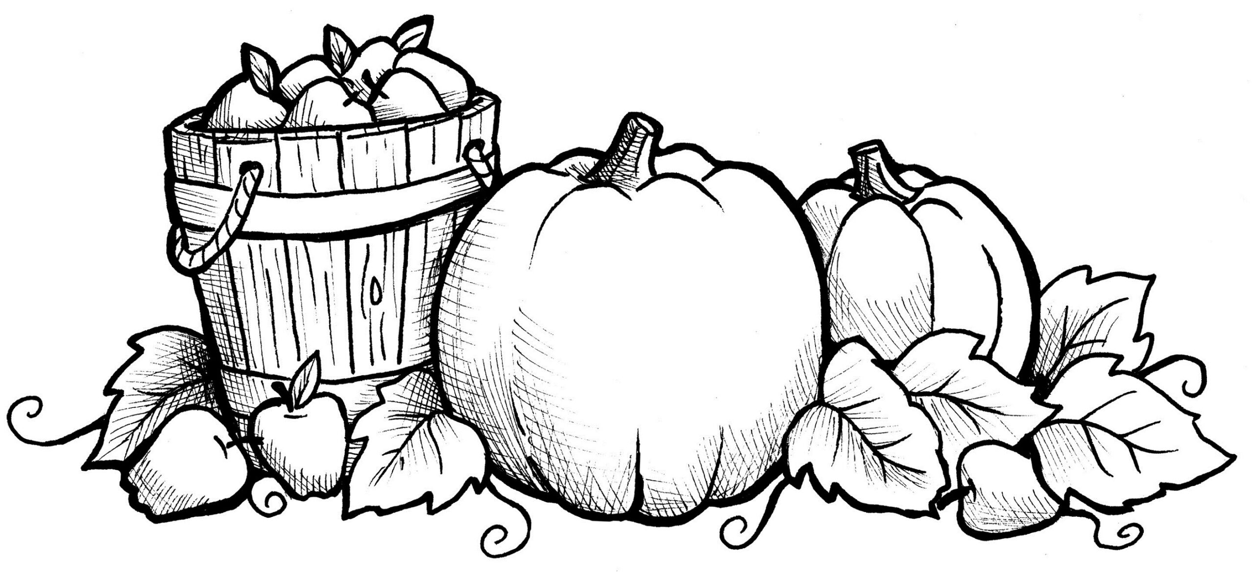 Fall Leaves And Acorn Coloring Page Free Printable Coloring Pages 