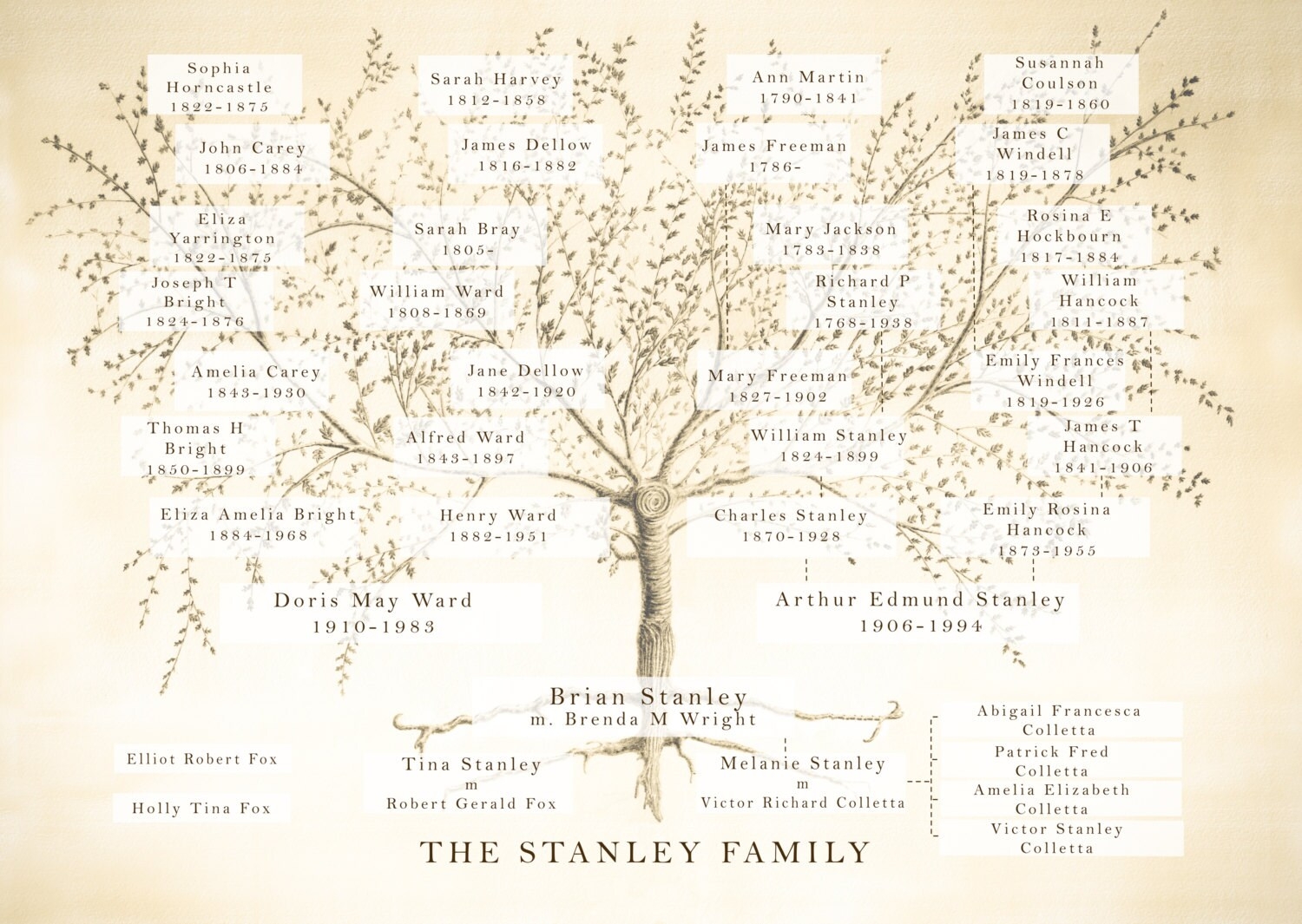 Family Tree Custom Family Tree Family Tree Print Family History Images