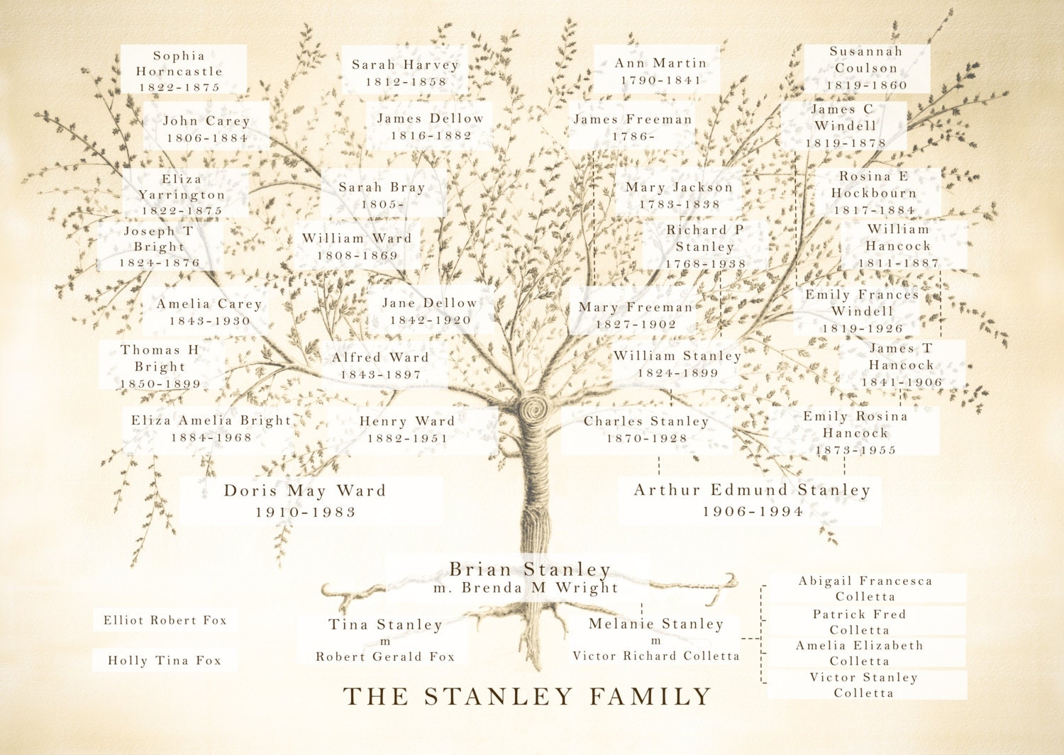 Family Tree Custom Family Tree Family Tree Print Family History Images