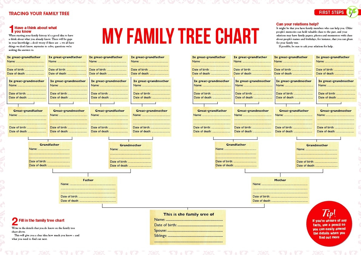Family Tree Examples Ancestry Chart Family Tree Chart Vrogue co