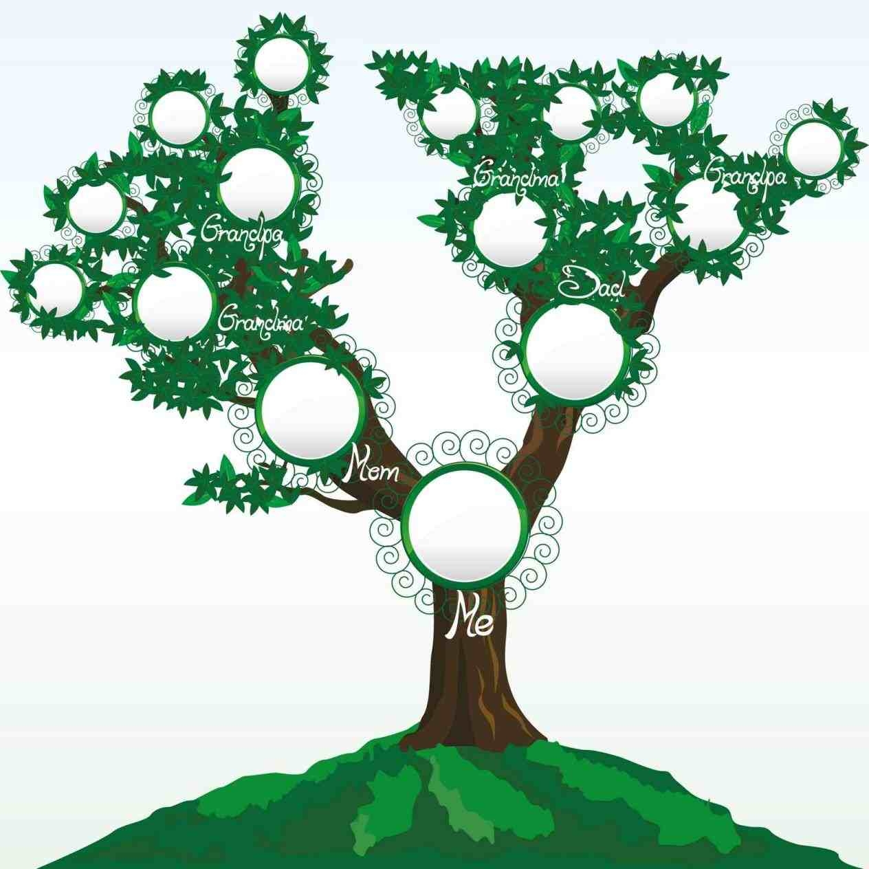 Family Tree For Kids Template ClipArt Best