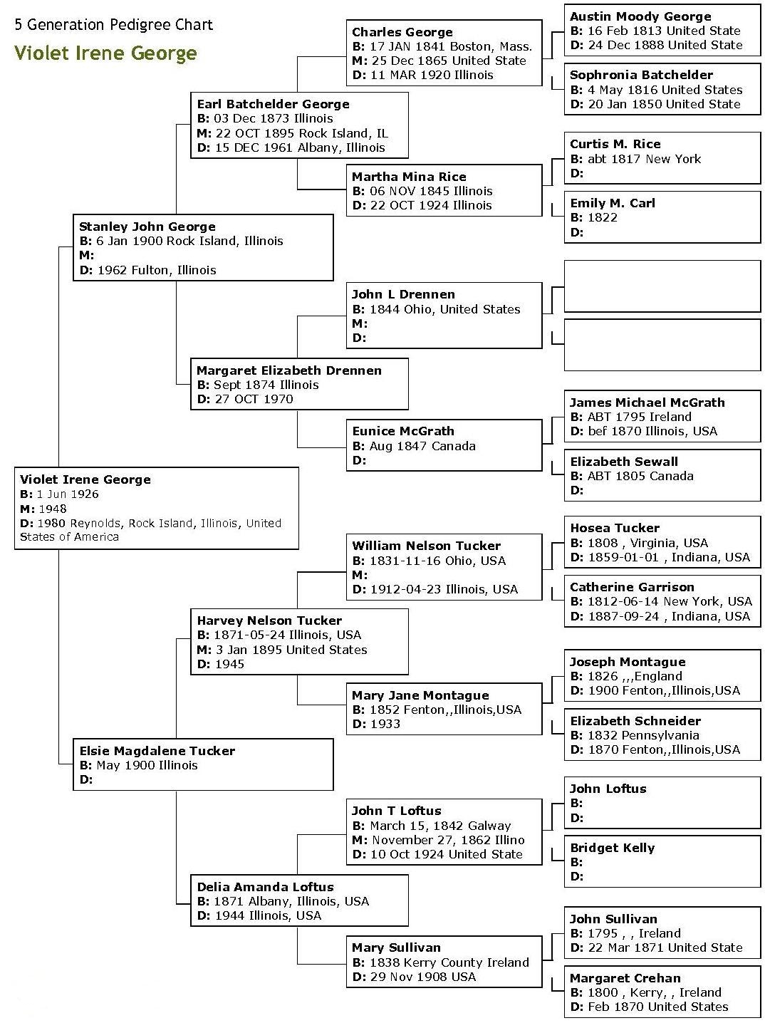 Family Tree Template Family Tree Template Visio Download