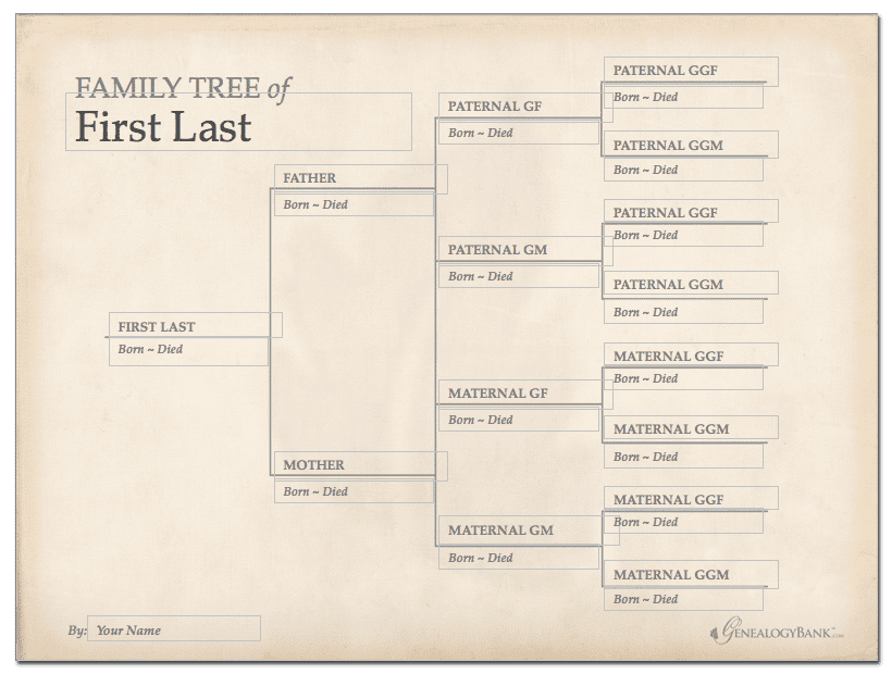 Family Tree Template Free Download
