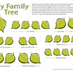 Family Tree Template Leaves Download Printable PDF Templateroller