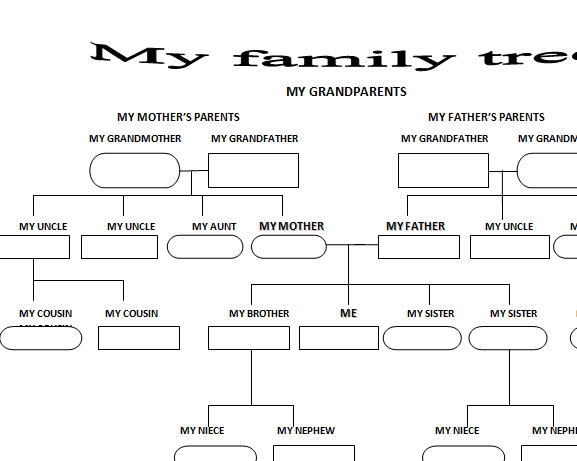 family tree worksheet pdf free download