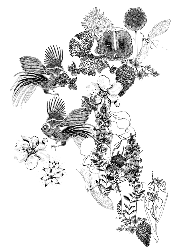 Fashion Prints On Behance