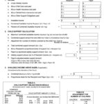 Fillable Online Mass Child Support Guidelines Worksheet Cjd Db excel