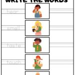 Five Senses Sorting Printable Totschooling Toddler Preschool