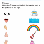 Five Senses Worksheet Math Printable Worksheets Worksheets Library