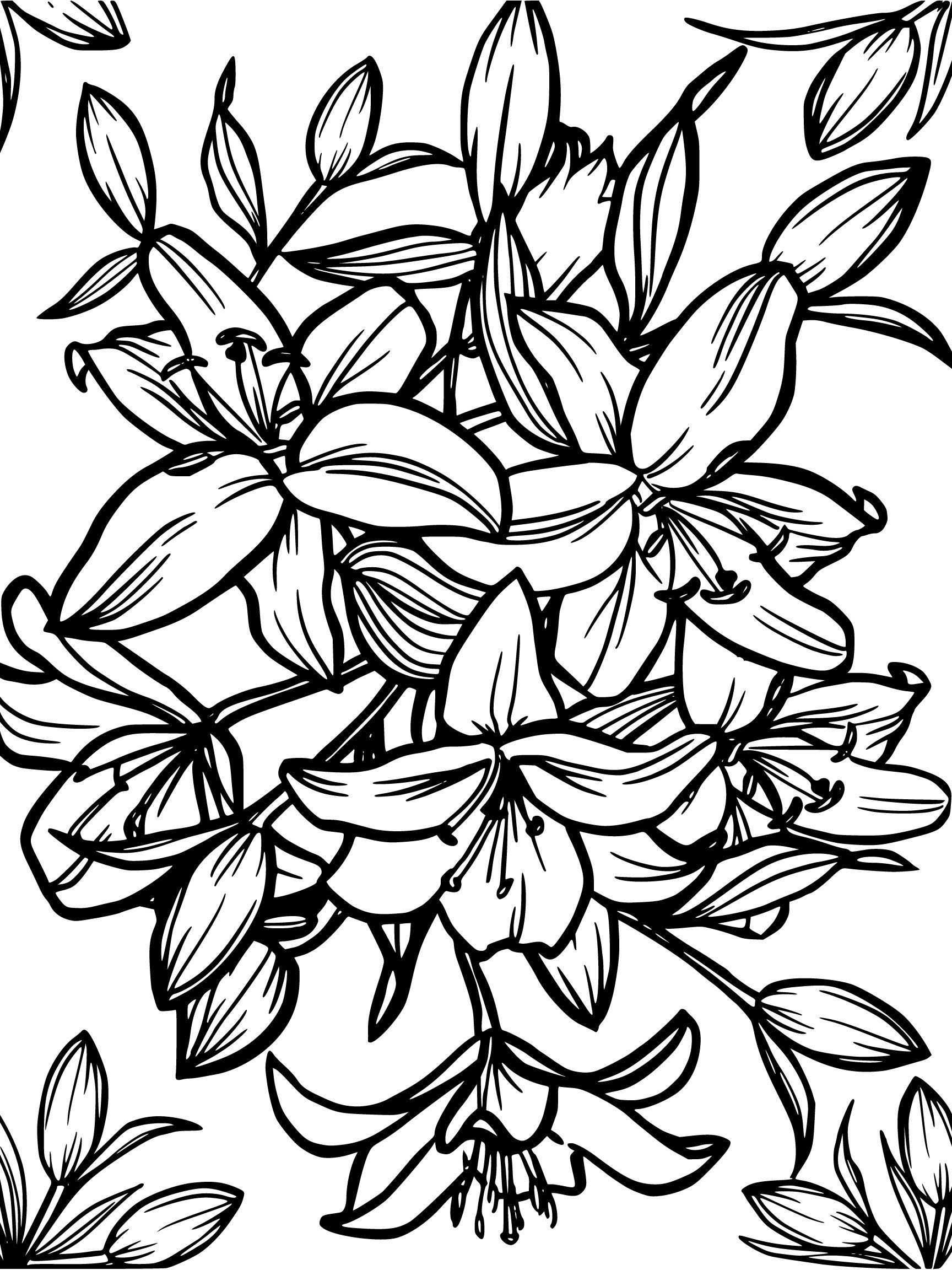 Floral Coloring Pages