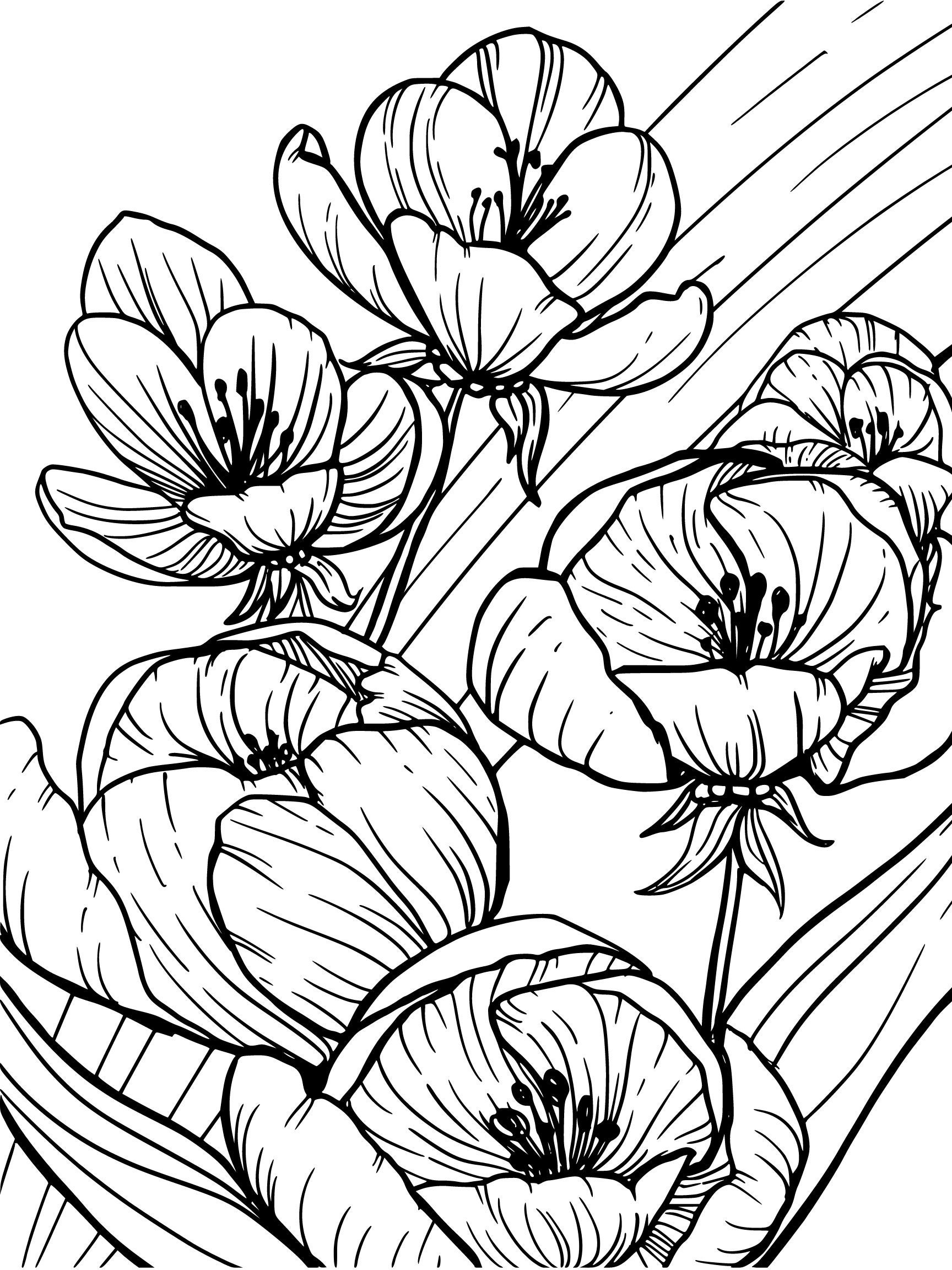 Floral Coloring Pages Etsy