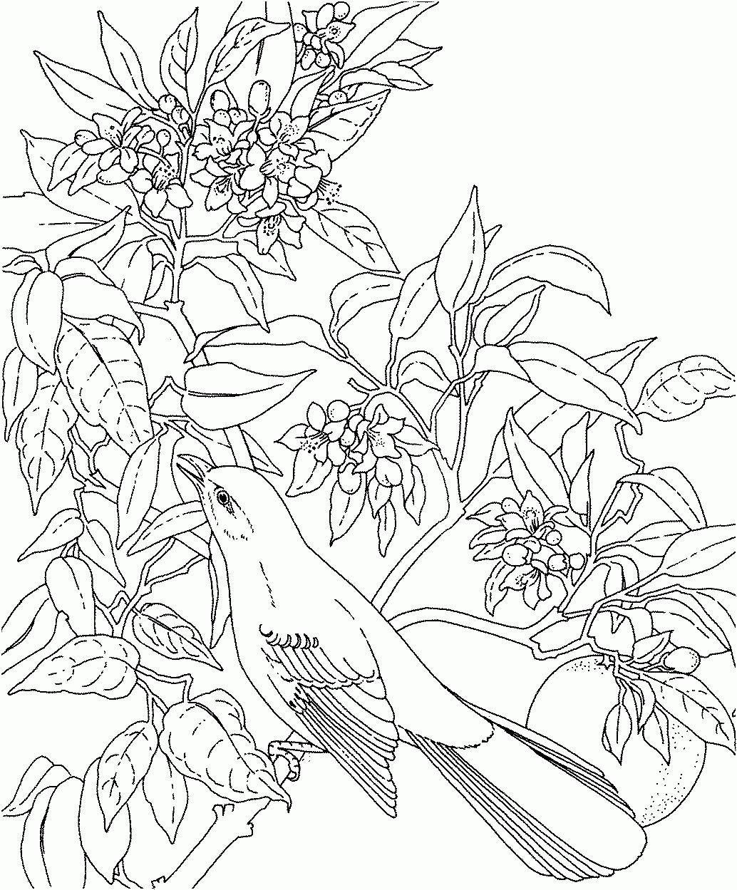 Flower Coloring Pages For Adults