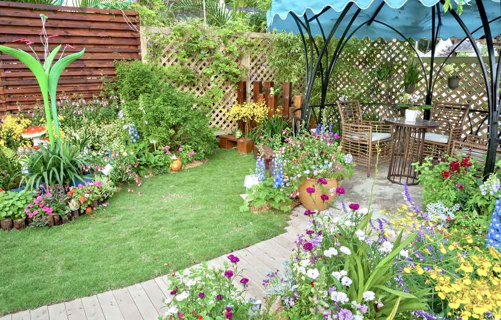 how to garden when you're new to gardening