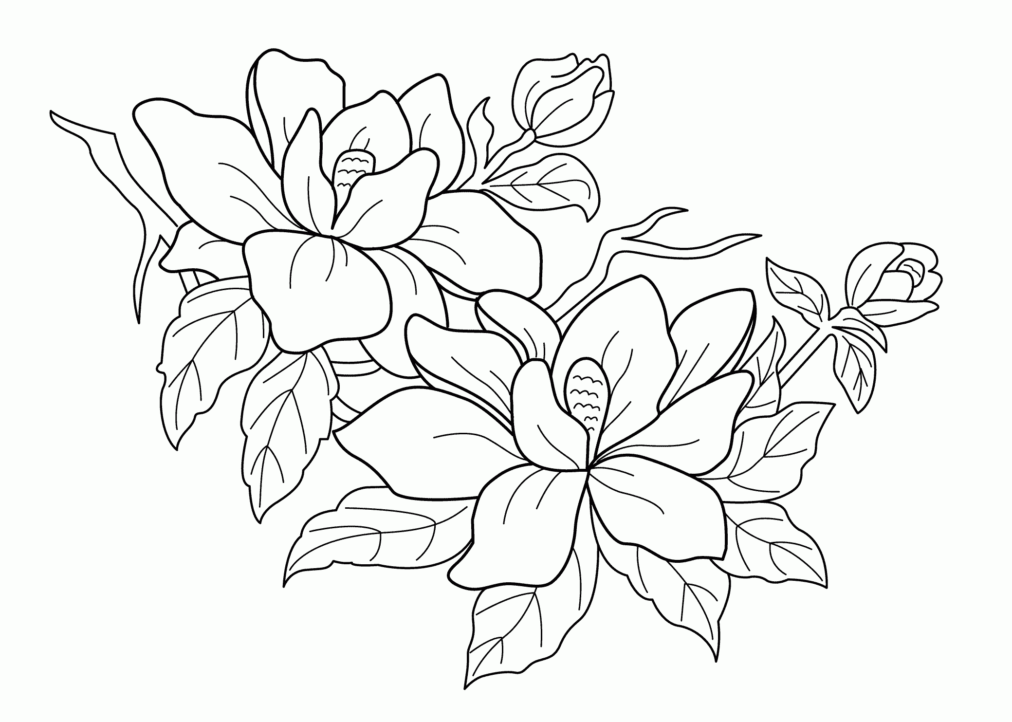 Flowering Tree Coloring Pages For Kids Printable Free Flower Coloring 