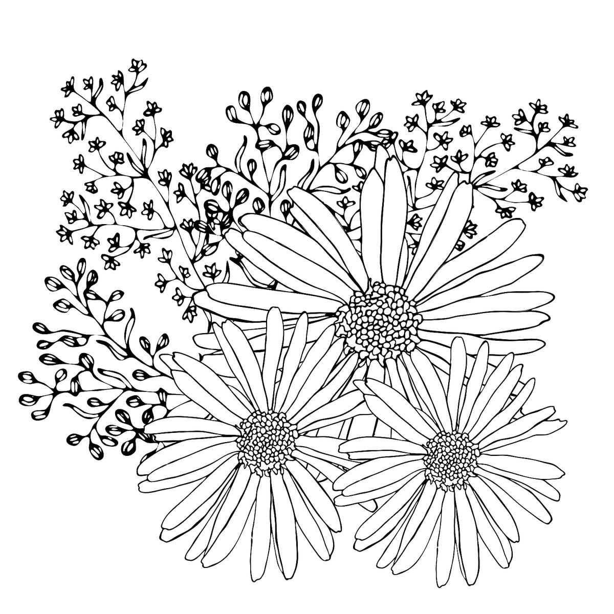 Flowers Coloring Pages 10 Free Fun Printable Coloring Pages Of 