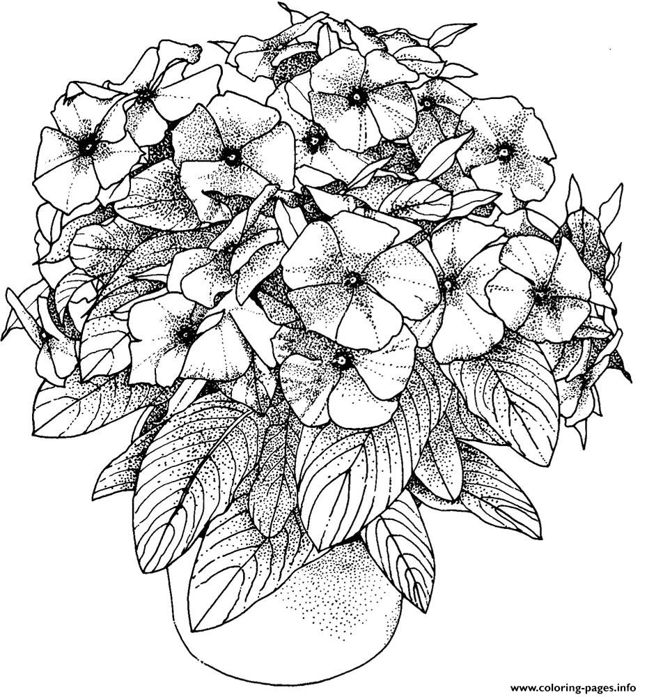 Flowers Pictures Adults Coloring Page Printable