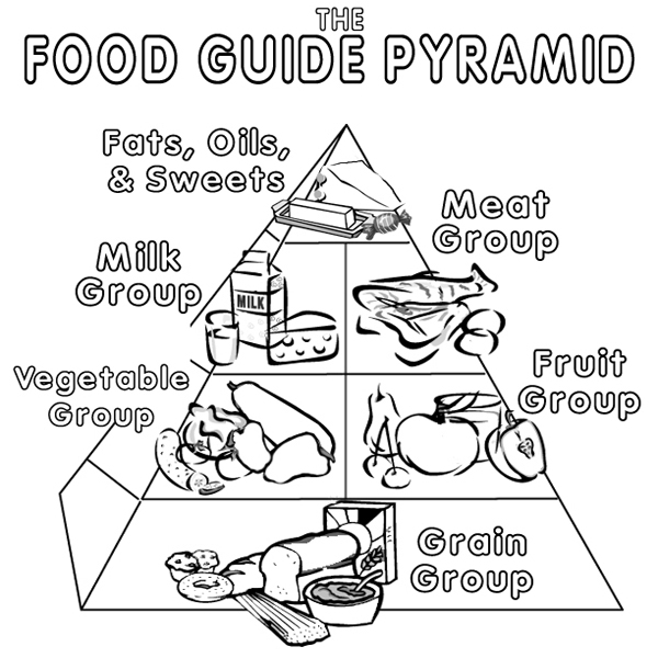 Food Chain Pyramid Coloring Sheet Coloring Pages The Best Porn Website