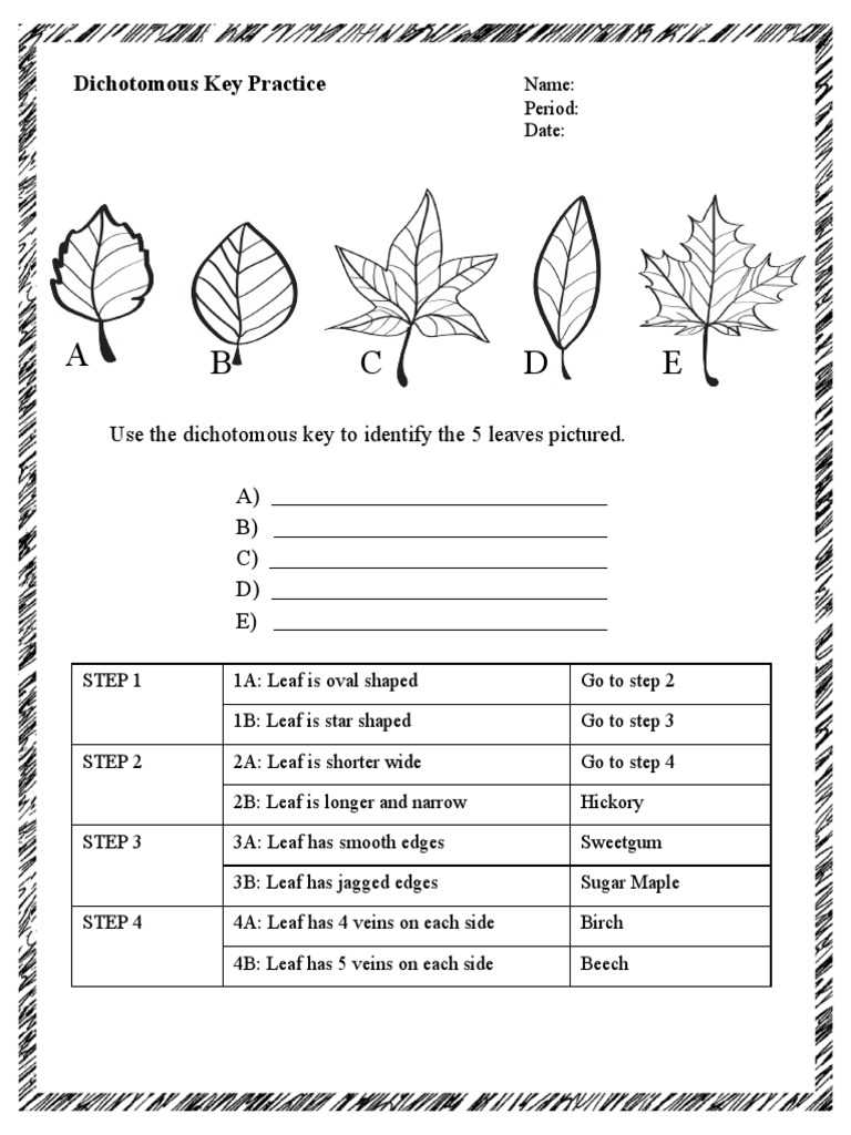 FREE Dichotomous Key Activity With Funny Creatures Worksheets Library