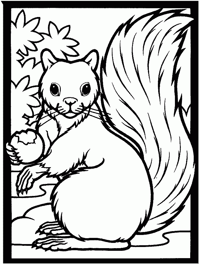 Free Fall Coloring Pages Printable Coloring Home
