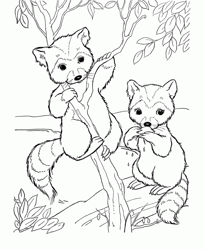 Free Free Printable Coloring Pages Baby Animals Download Free Free 