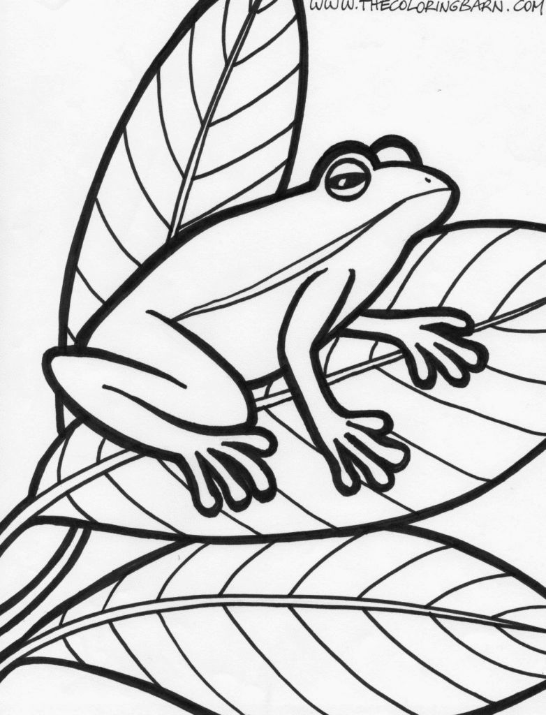 Free Frog Coloring Page Coloring Home