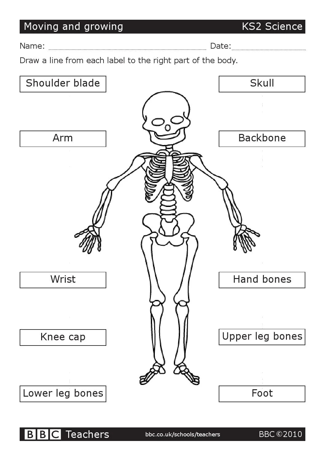 Free Grade 5 Science Worksheets Printable Scienceworksheets