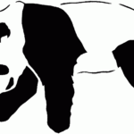 Free Panda Bear Coloring Pages