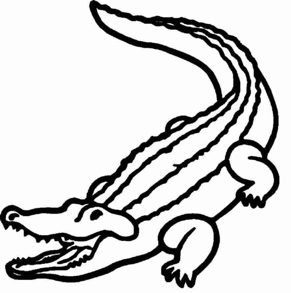 Free Printable Alligator Coloring Pages For Kids Animal Place