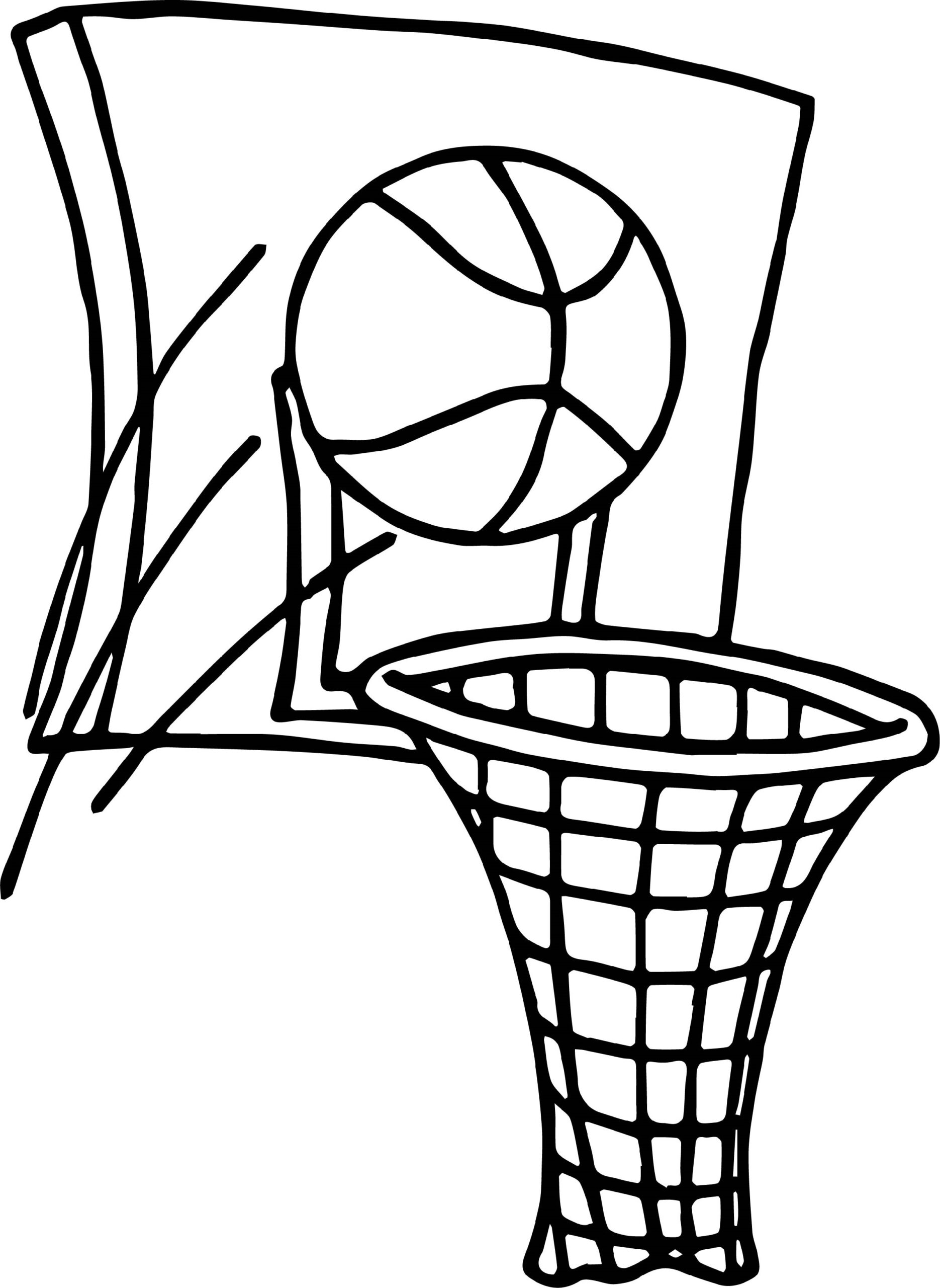 Free Printable Basketball Shoes Coloring Pages Free Coloring Sheet 