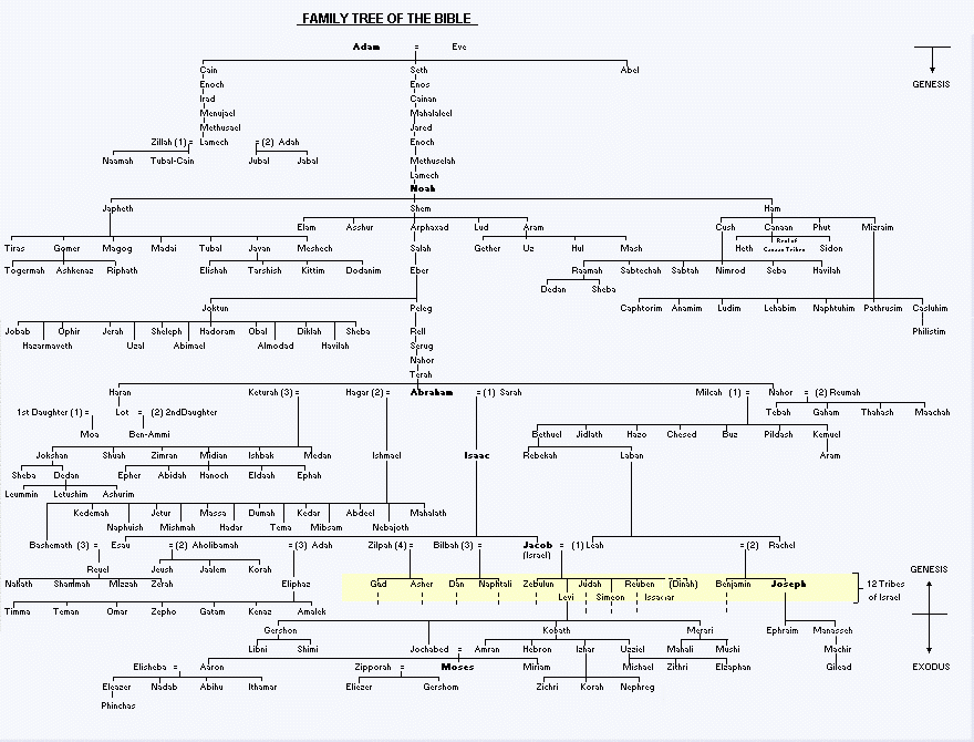 bible family tree printable pdf free download