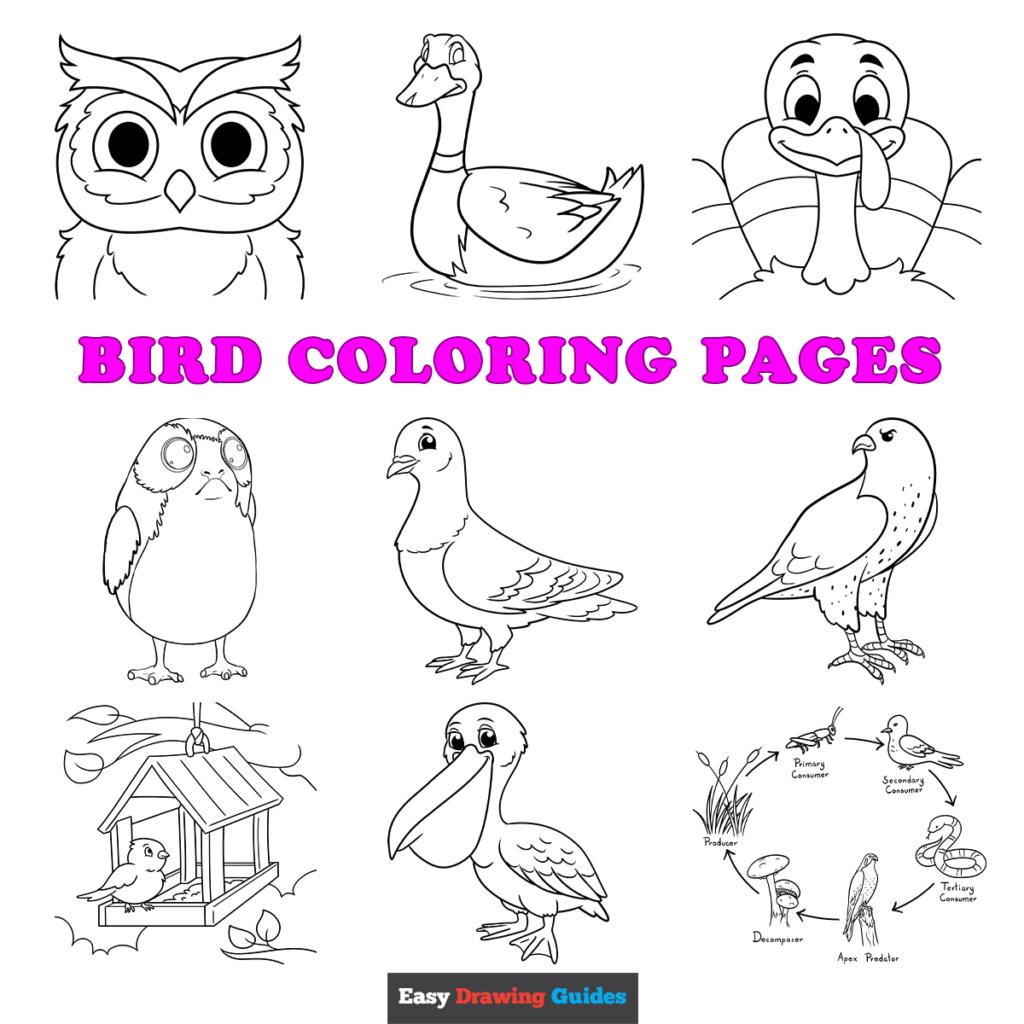 printable coloring pages birds