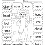 Free Printable Body Parts Game Worksheet