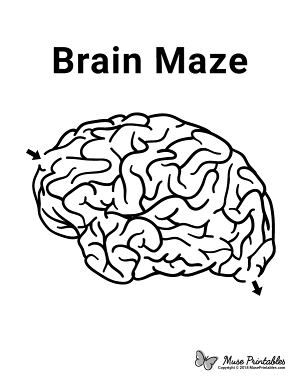 Free Printable Brain Maze