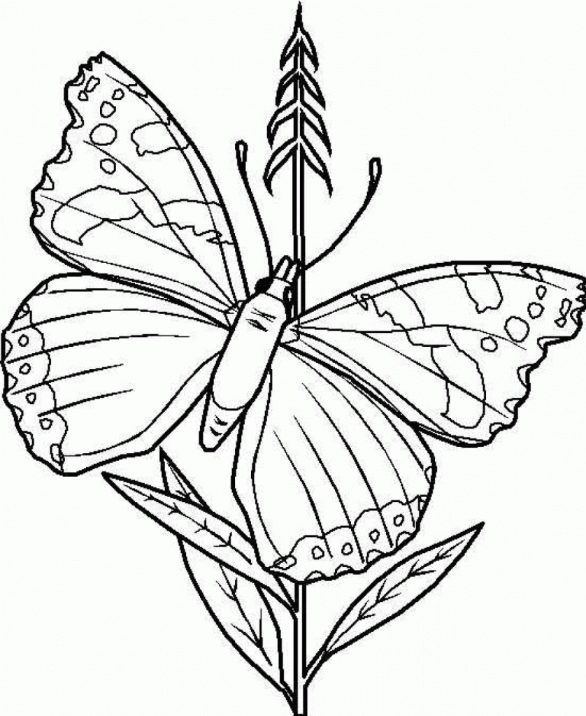 free coloring pages butterfly