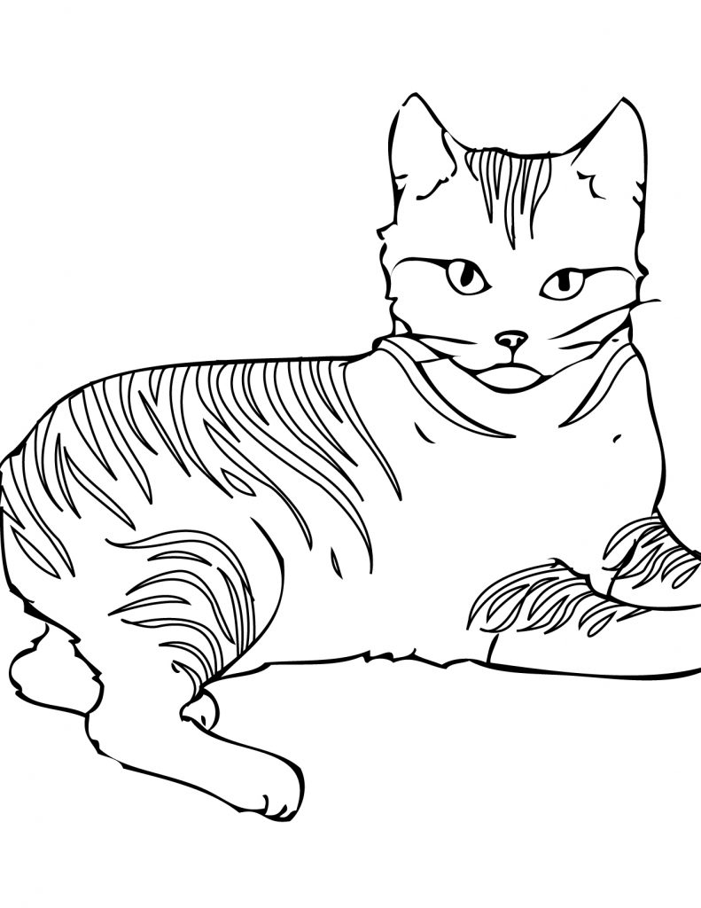 Coloring Pages Cat