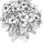 Free Printable Coloring Pages For Victorious Coloring Home
