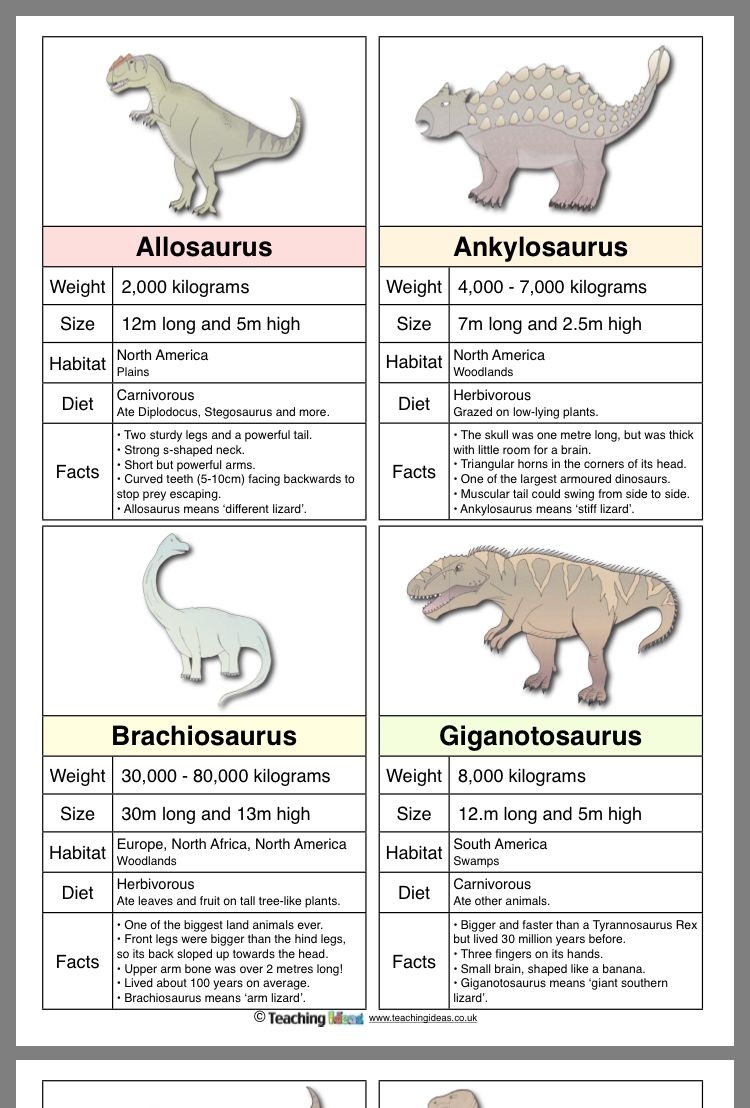 Free Printable Dinosaur Fact Cards Free Templates Printable