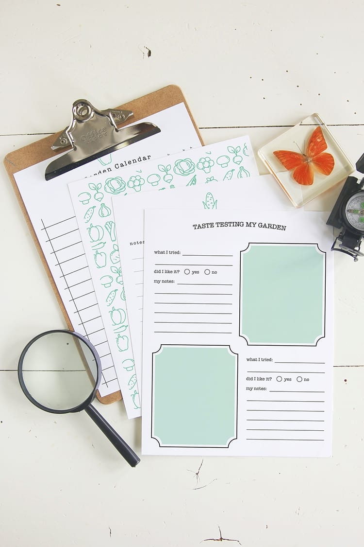 Free Printable DIY Kids Garden Journal Shrimp Salad Circus 
