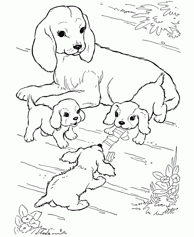 free dog coloring pages