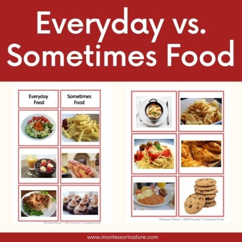 Free Printable Everyday Vs Sometimes Foods Montessori Nature