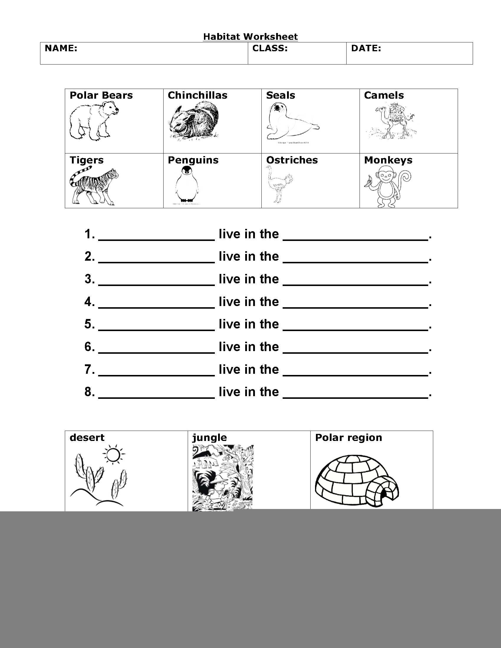 1st grade science worksheets