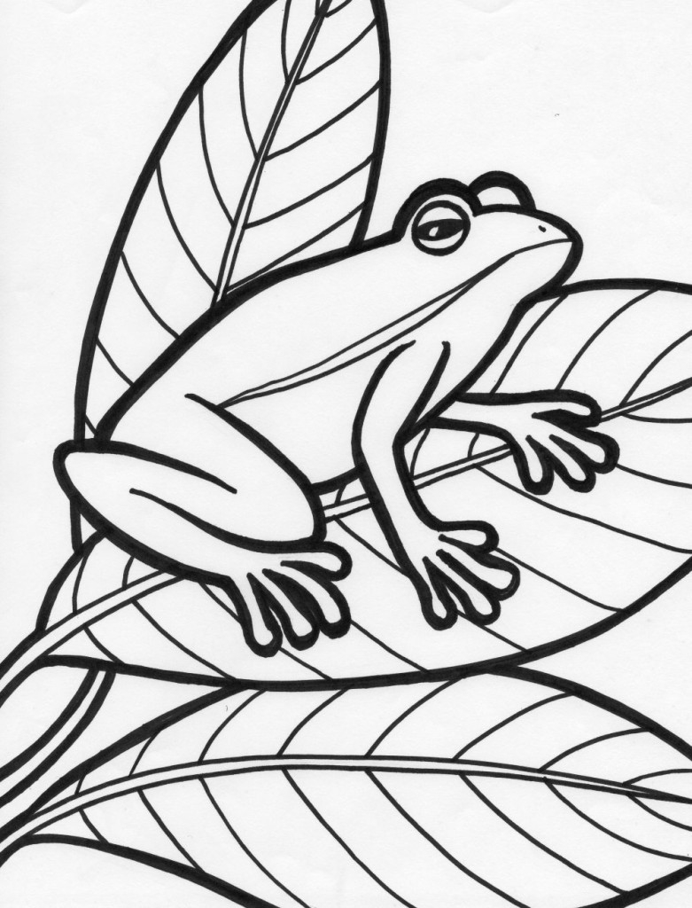 tree frog coloring pages printable