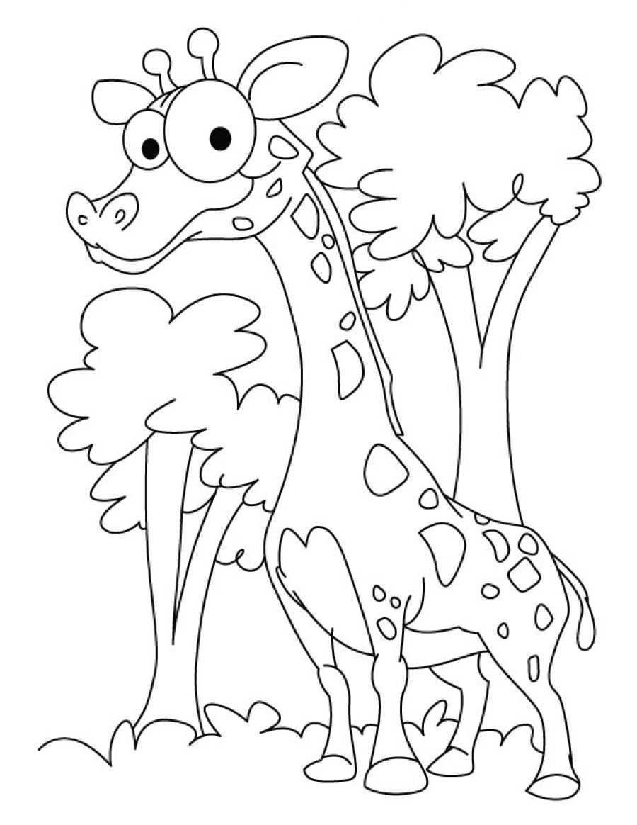 Funny Coloring Pages